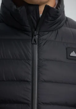 New DACHSTEIN Go