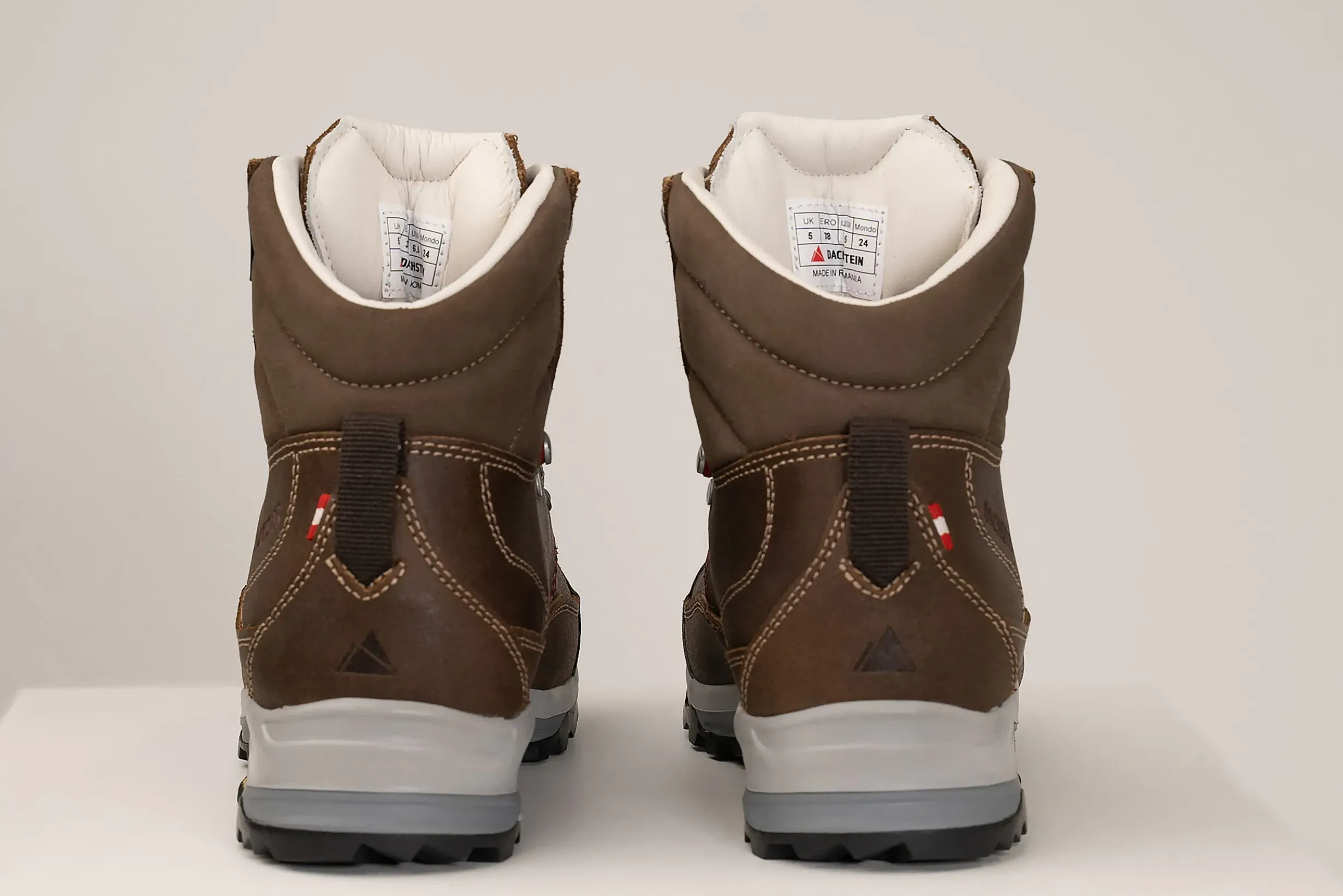 Hot DACHSTEIN Ramsau 2.0 GTX WMN