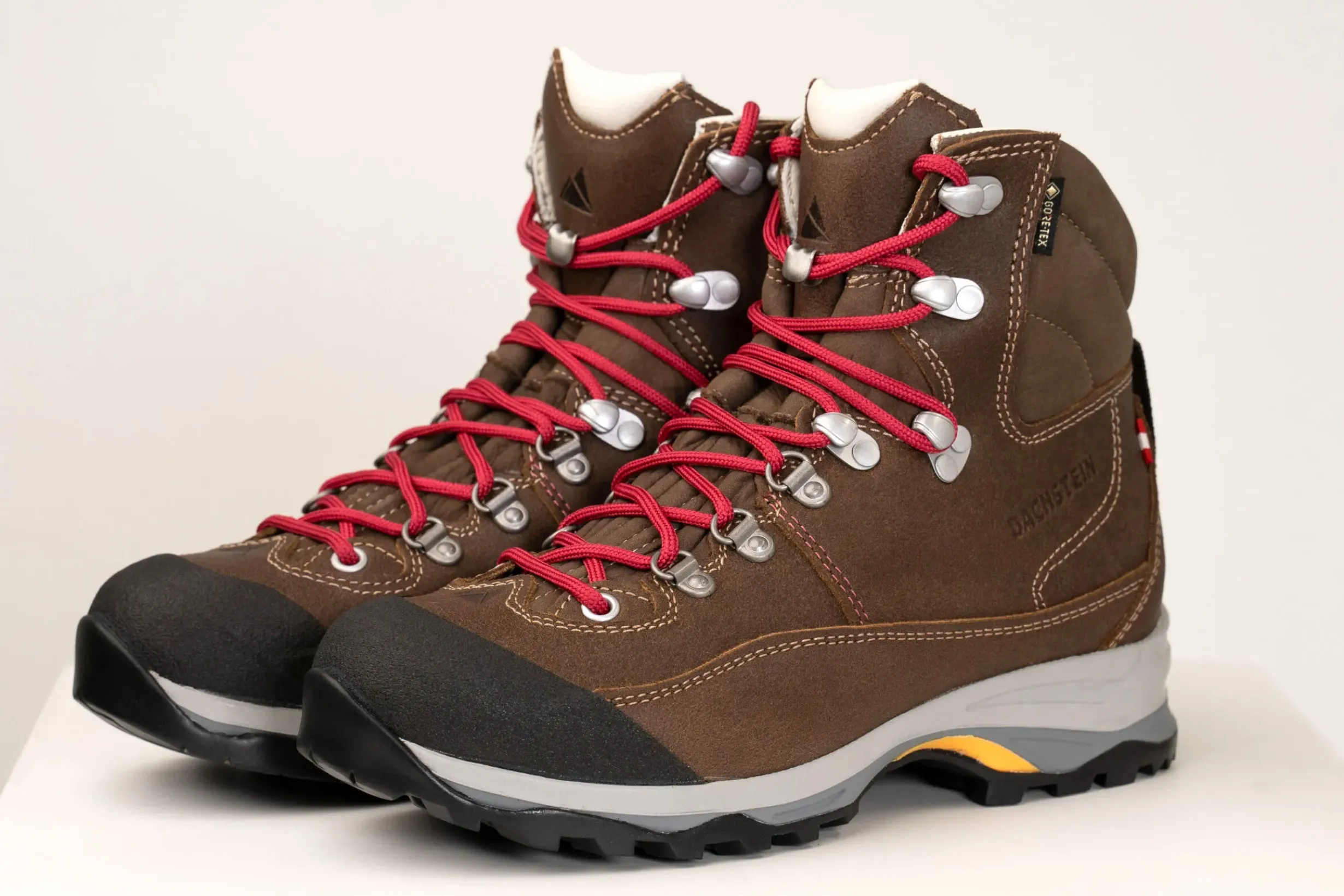 Hot DACHSTEIN Ramsau 2.0 GTX WMN
