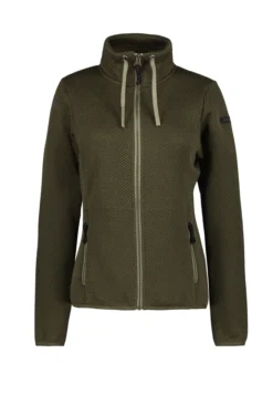Online ICEPEAK Addion