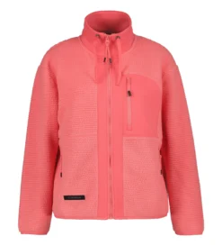 Online ICEPEAK Agene