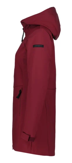 Online ICEPEAK Alamosa