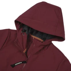 Online ICEPEAK Alamosa