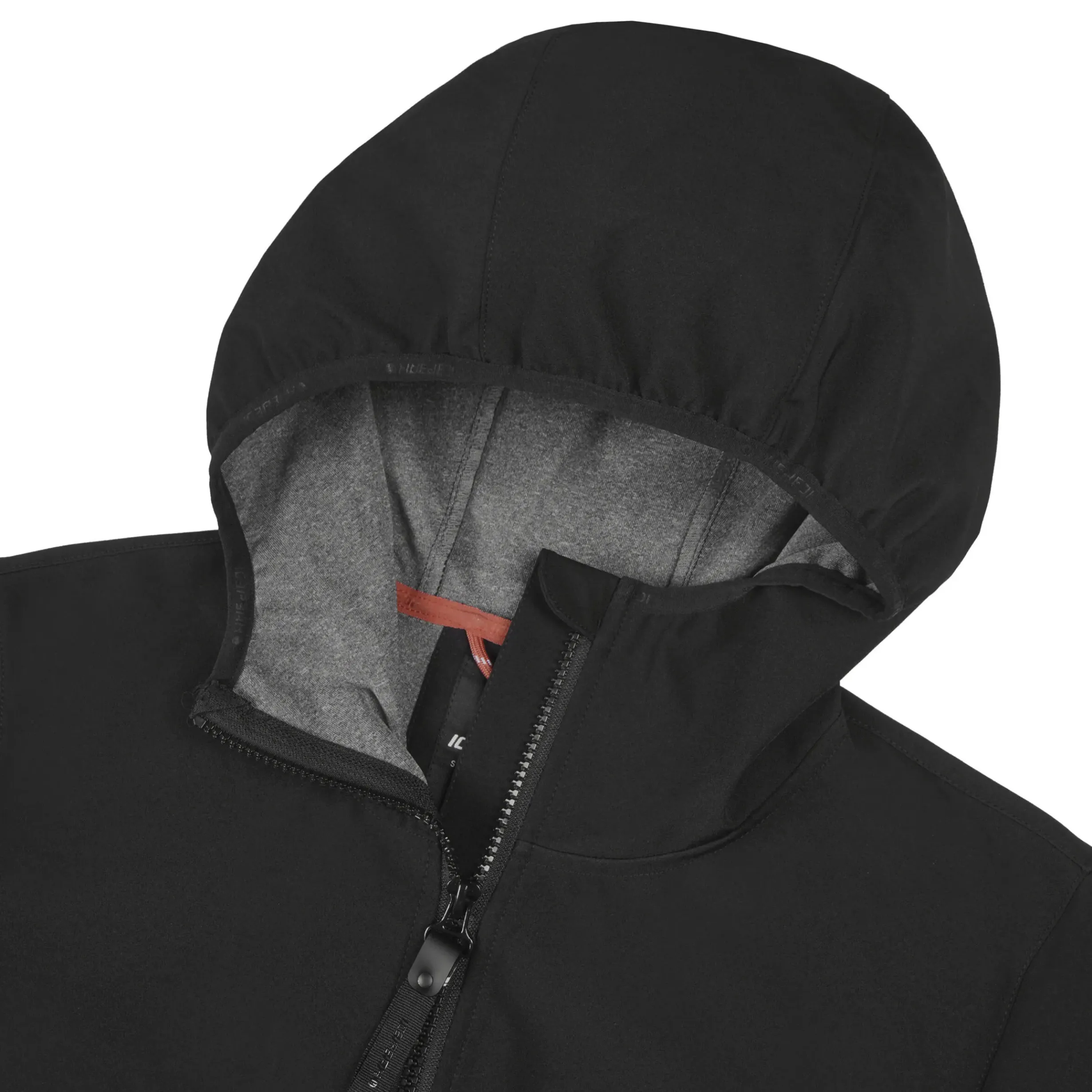 Online ICEPEAK Albany