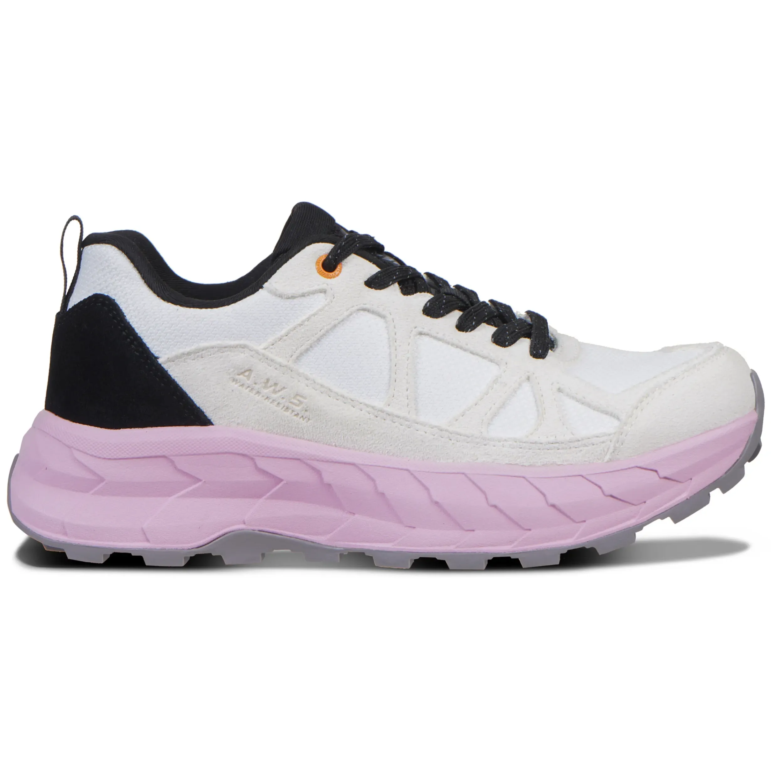 Online ICEPEAK Anisi Ms