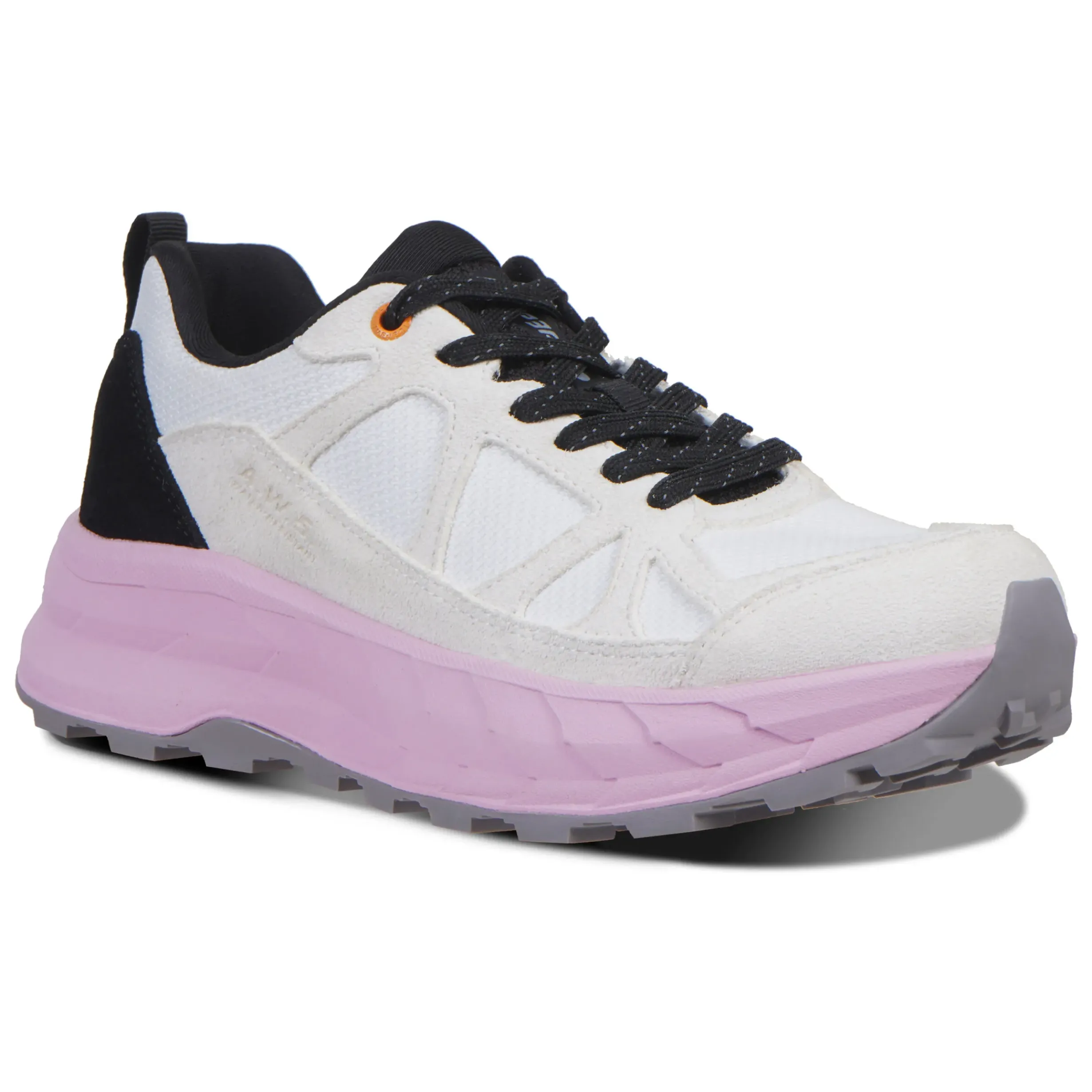 Online ICEPEAK Anisi Ms