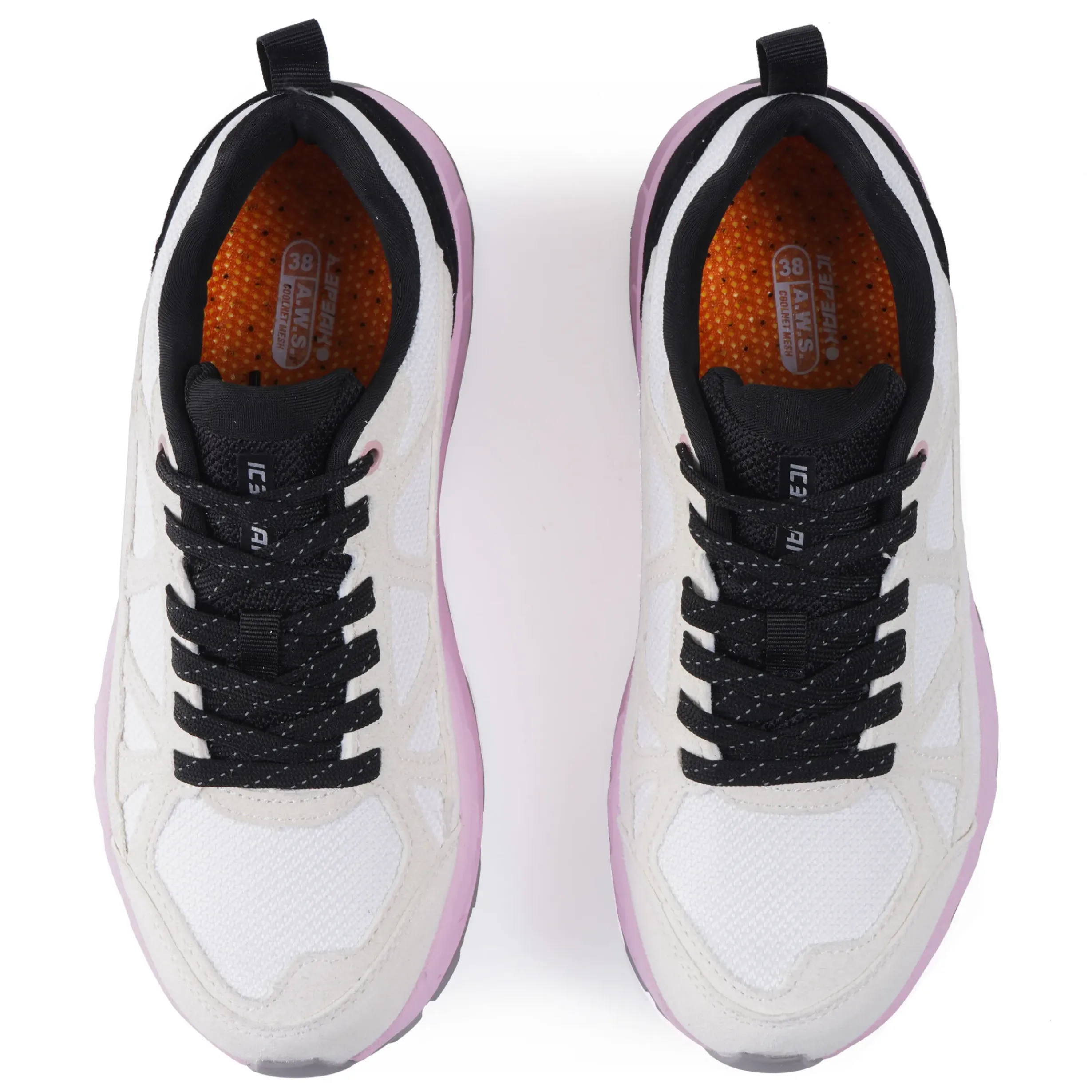 Online ICEPEAK Anisi Ms