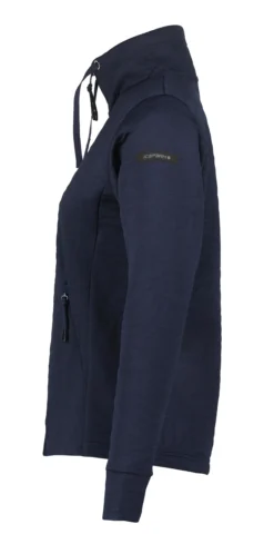 Online ICEPEAK Anoka