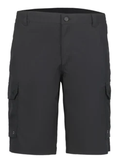 Online ICEPEAK Anzio