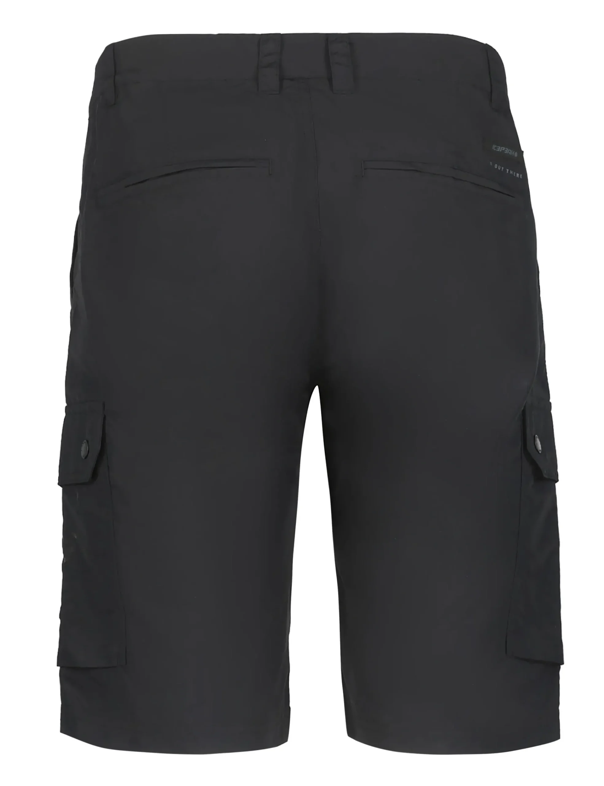 Online ICEPEAK Anzio