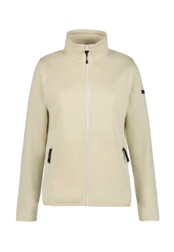 Online ICEPEAK Auti