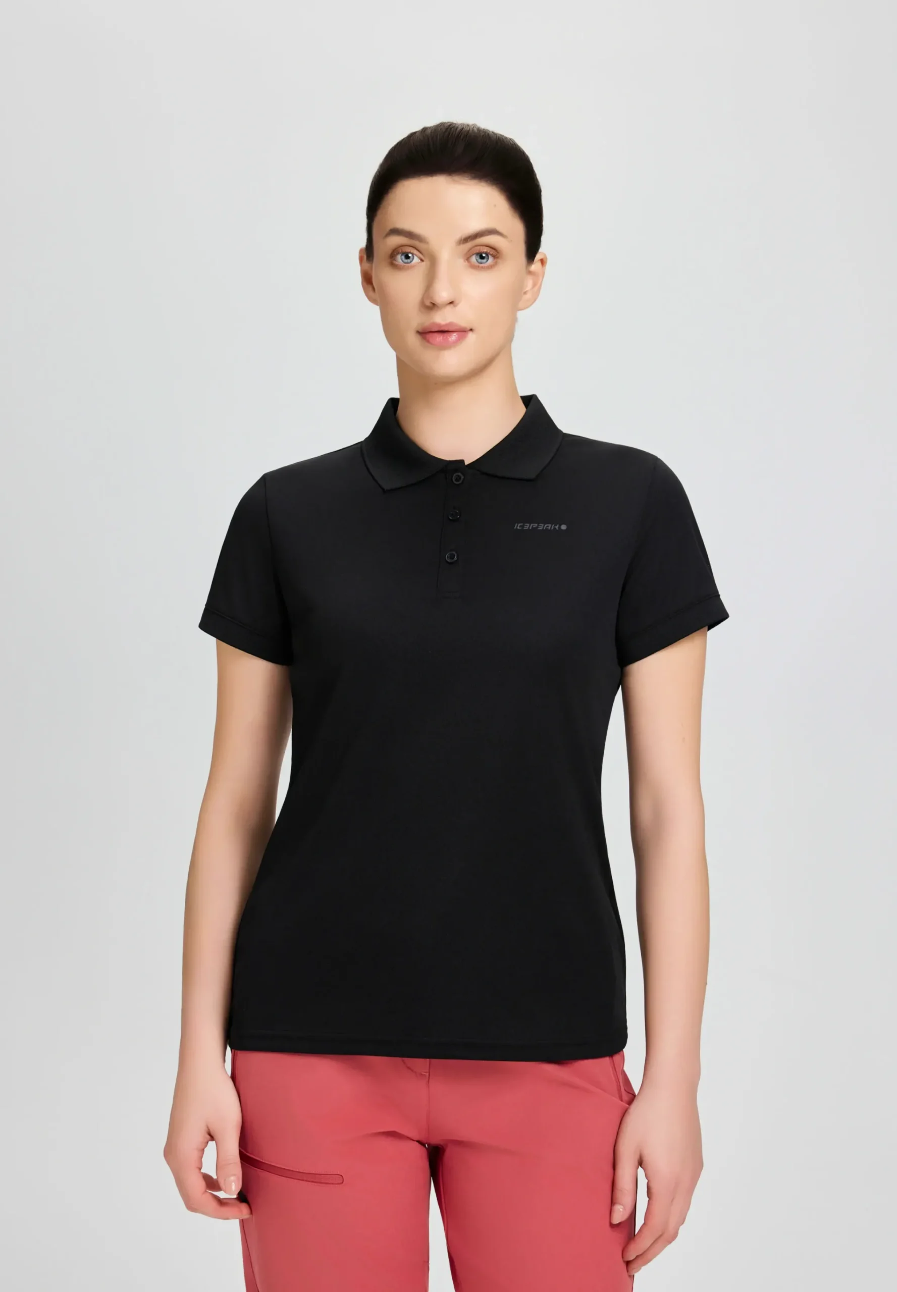 Online ICEPEAK Bayard