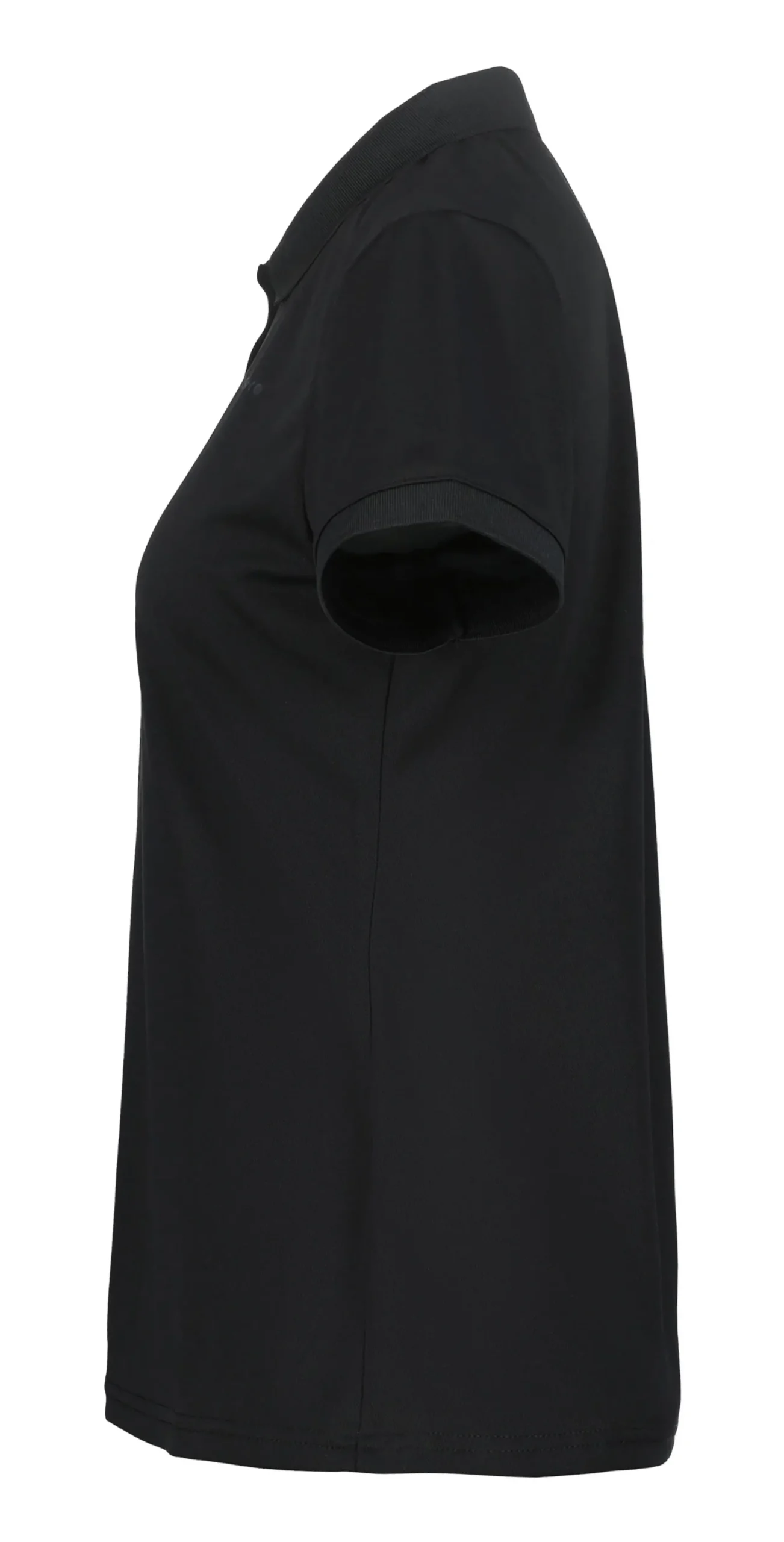 Online ICEPEAK Bayard