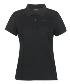 Online ICEPEAK Bayard