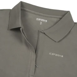 Online ICEPEAK Bazine