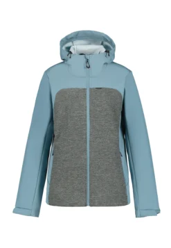 Online ICEPEAK Beebe