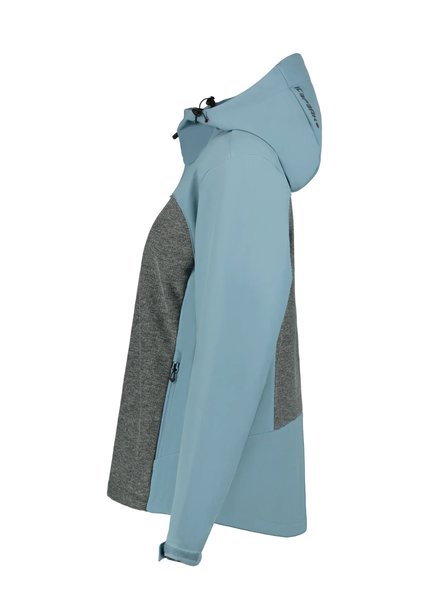 Online ICEPEAK Beebe