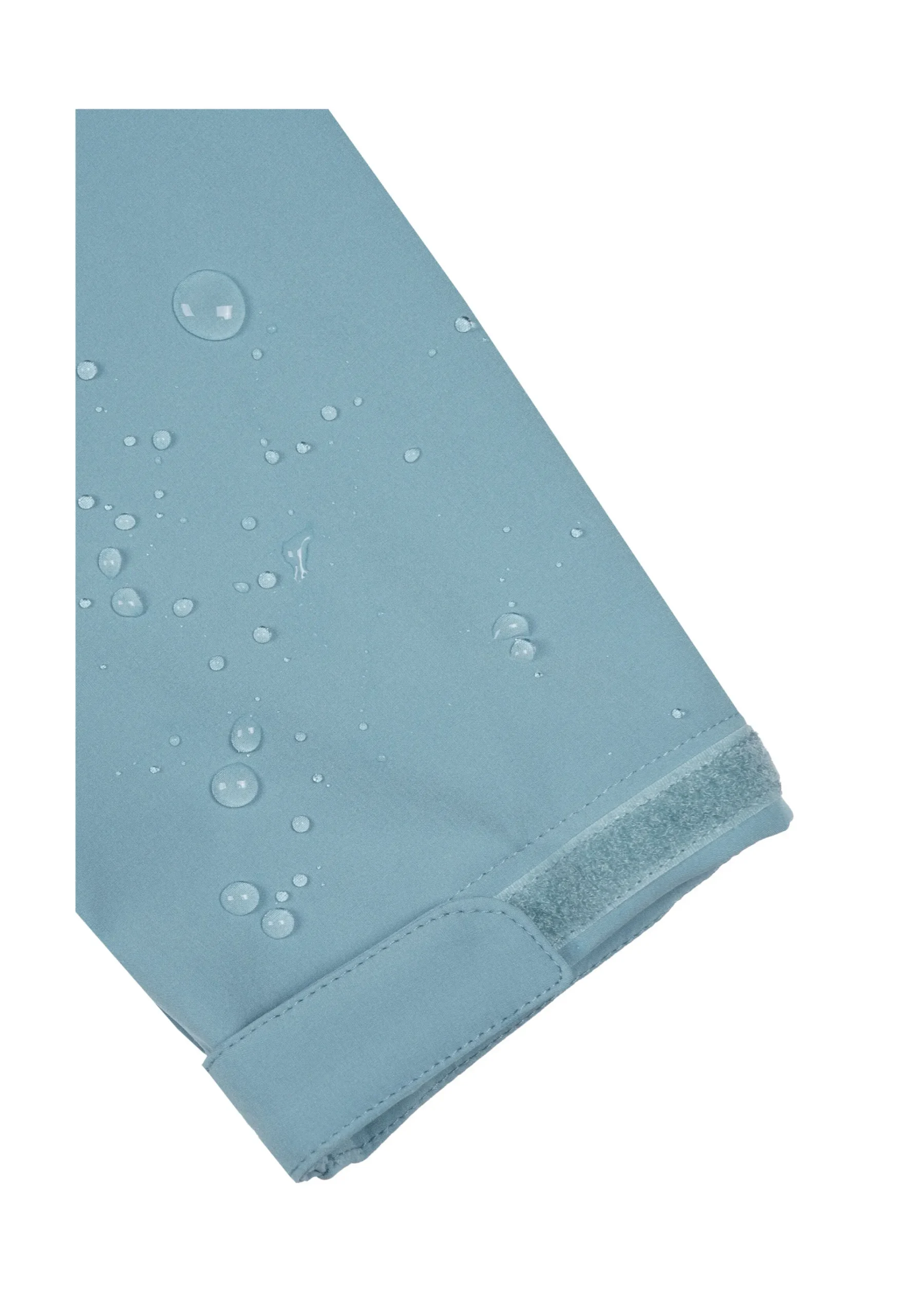 Online ICEPEAK Beebe