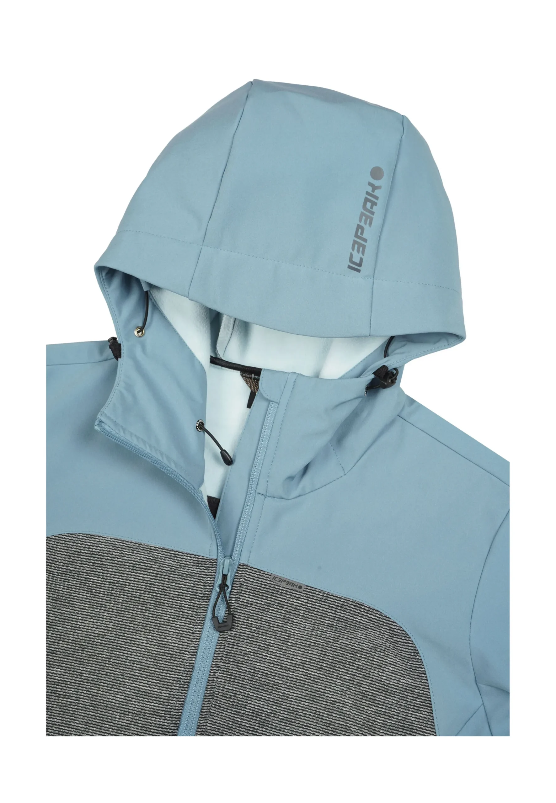 Online ICEPEAK Beebe