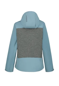 Online ICEPEAK Beebe