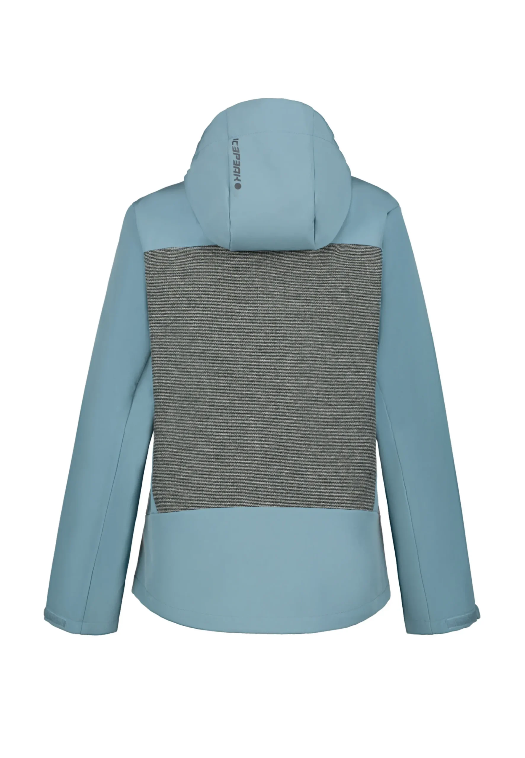 Online ICEPEAK Beebe