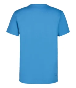 ICEPEAK Beevie