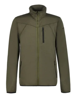 Online ICEPEAK Berthod