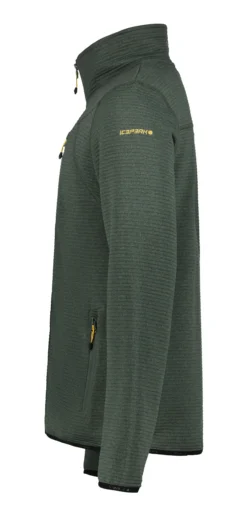 Online ICEPEAK Berthold