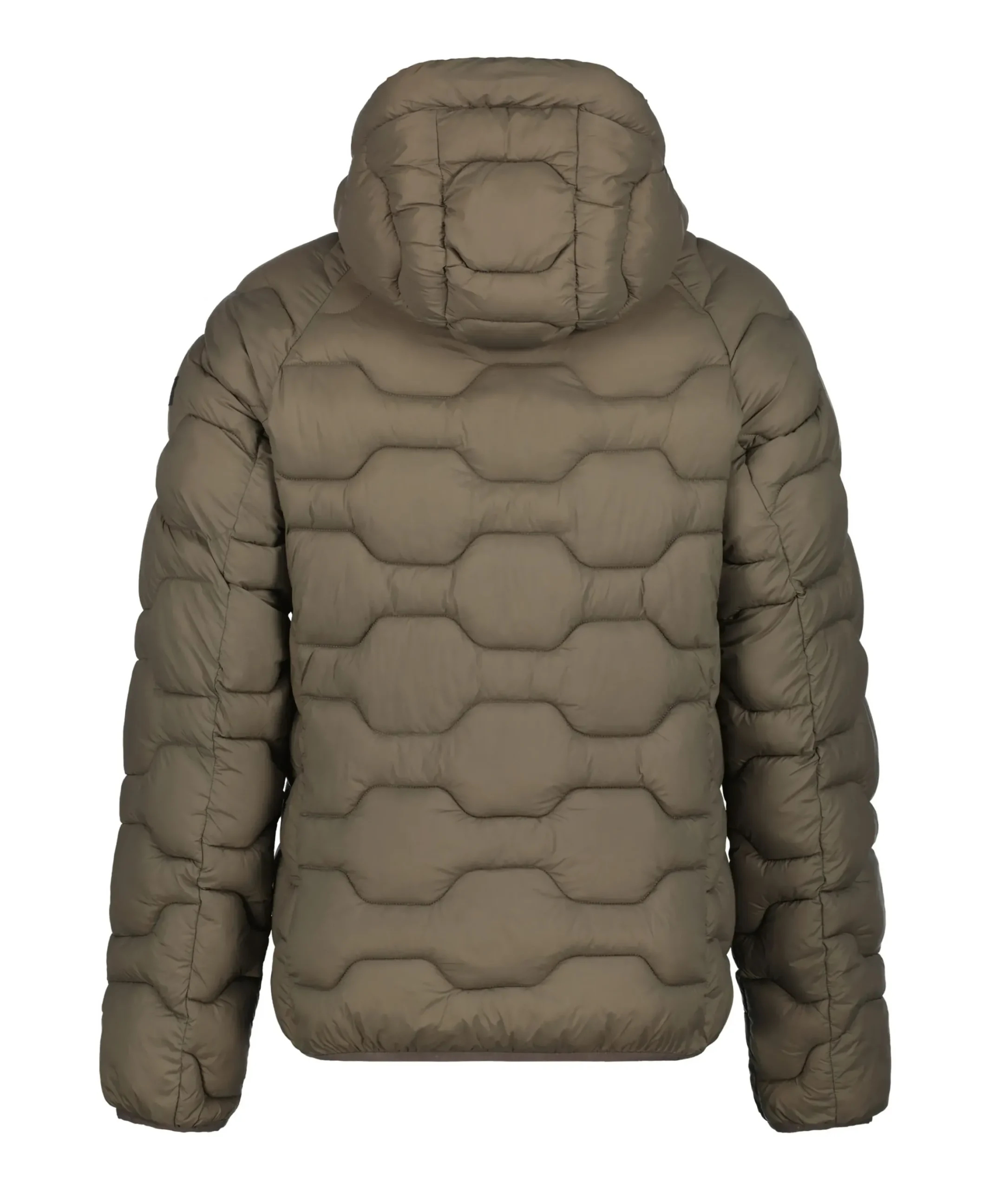 Clearance ICEPEAK Branch