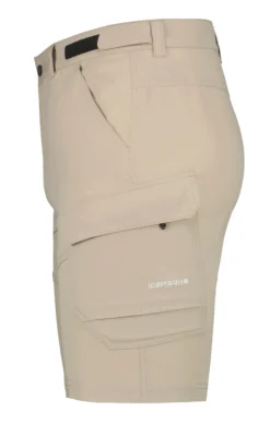 ICEPEAK Braswell