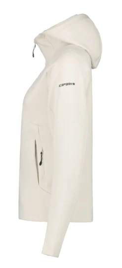 Online ICEPEAK Bunnell