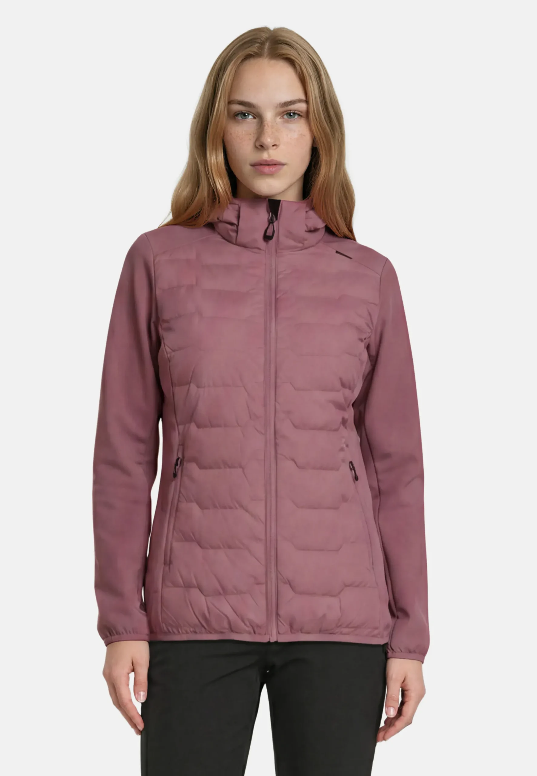 Online ICEPEAK Burlison