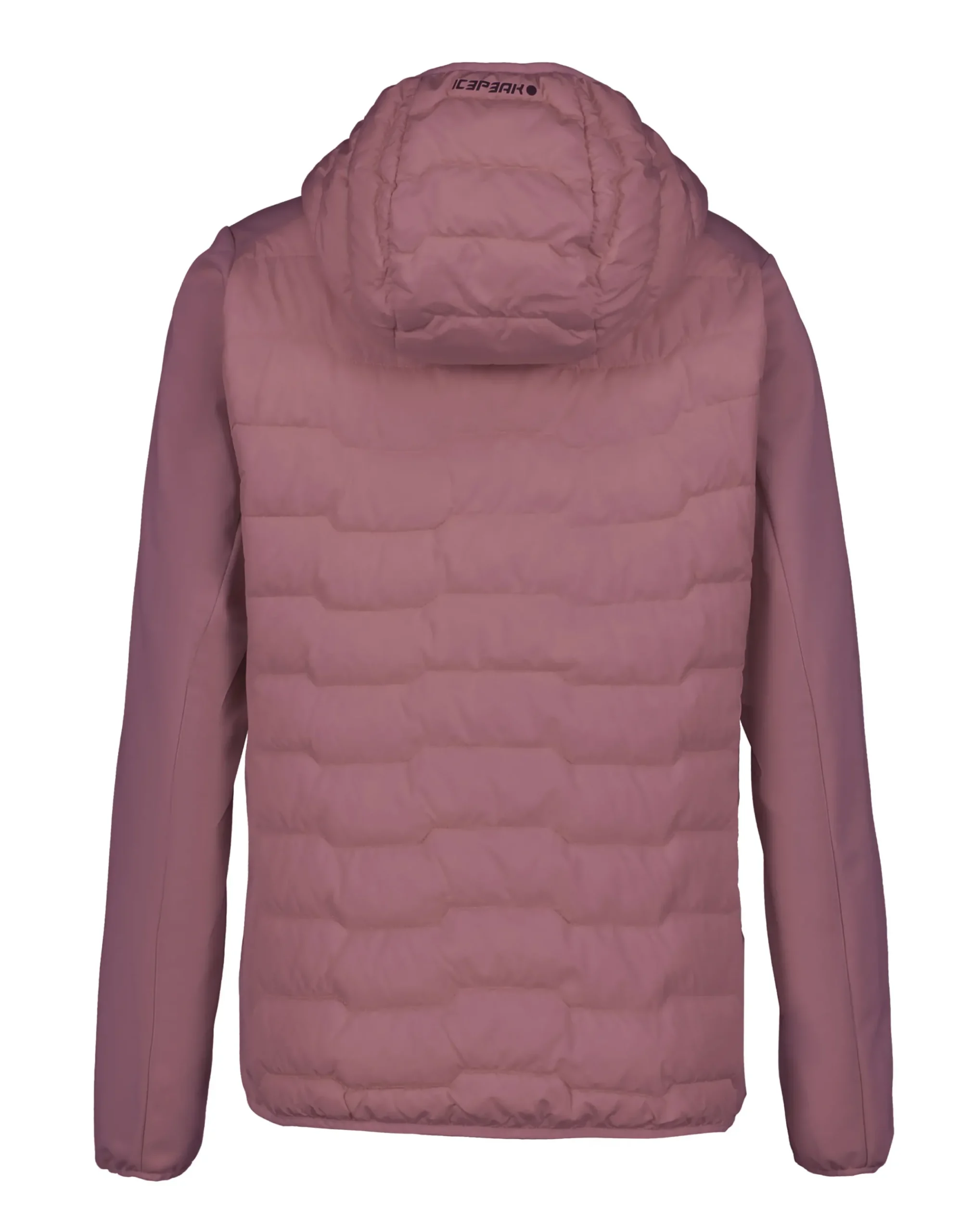 Online ICEPEAK Burlison