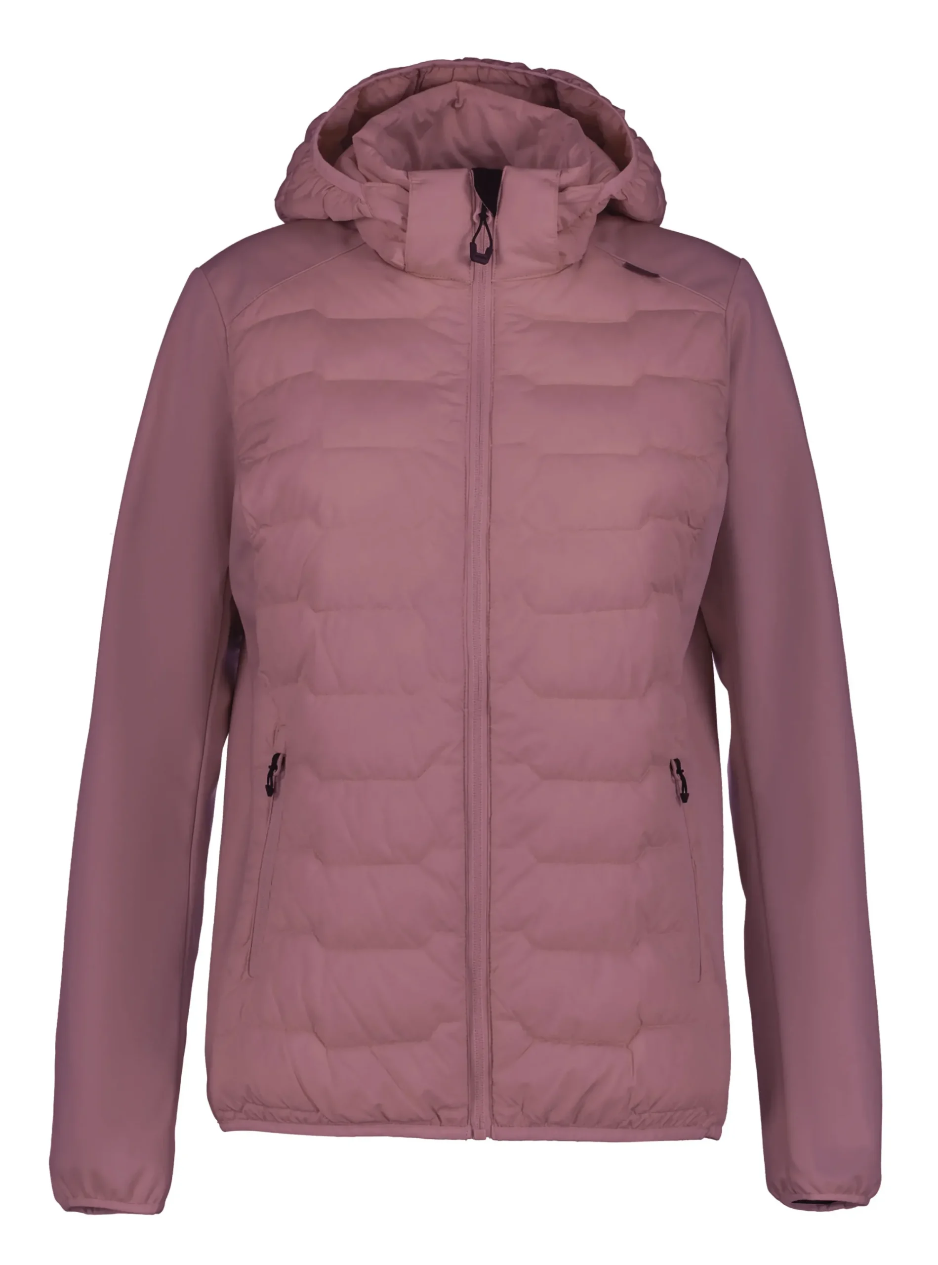 Online ICEPEAK Burlison