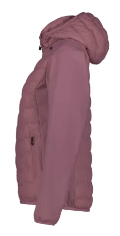 Online ICEPEAK Burlison