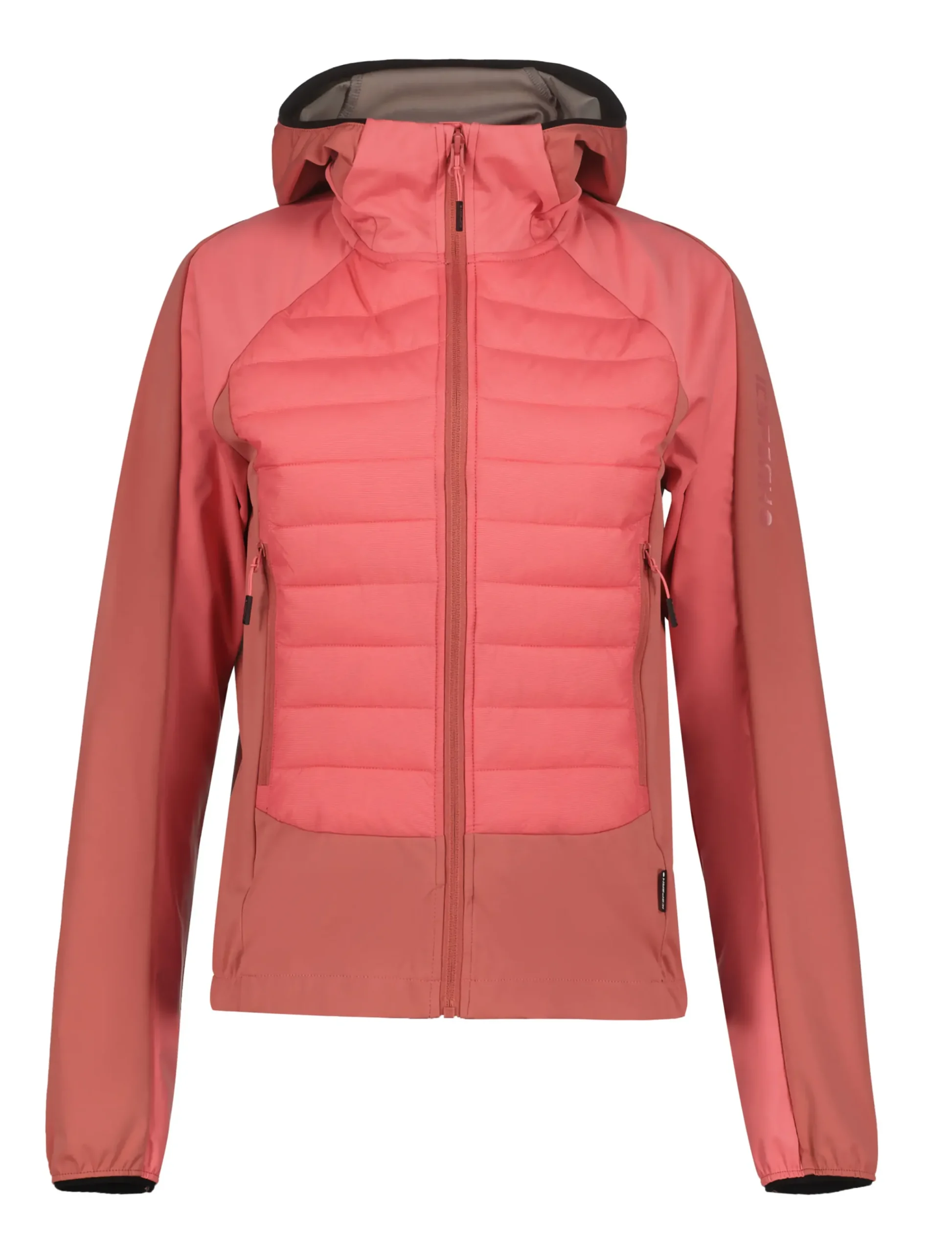 ICEPEAK Delmont