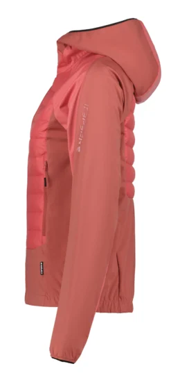 ICEPEAK Delmont