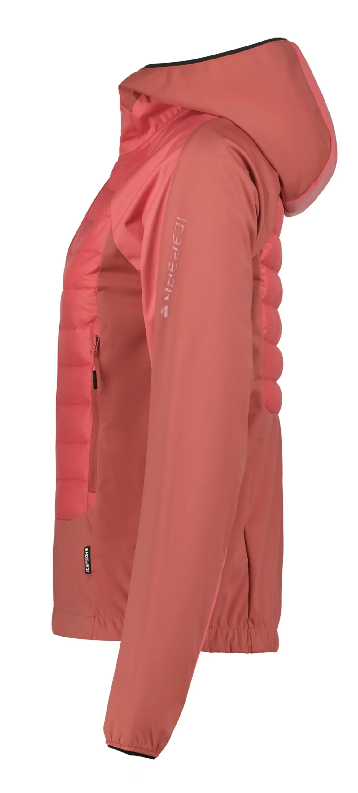 ICEPEAK Delmont