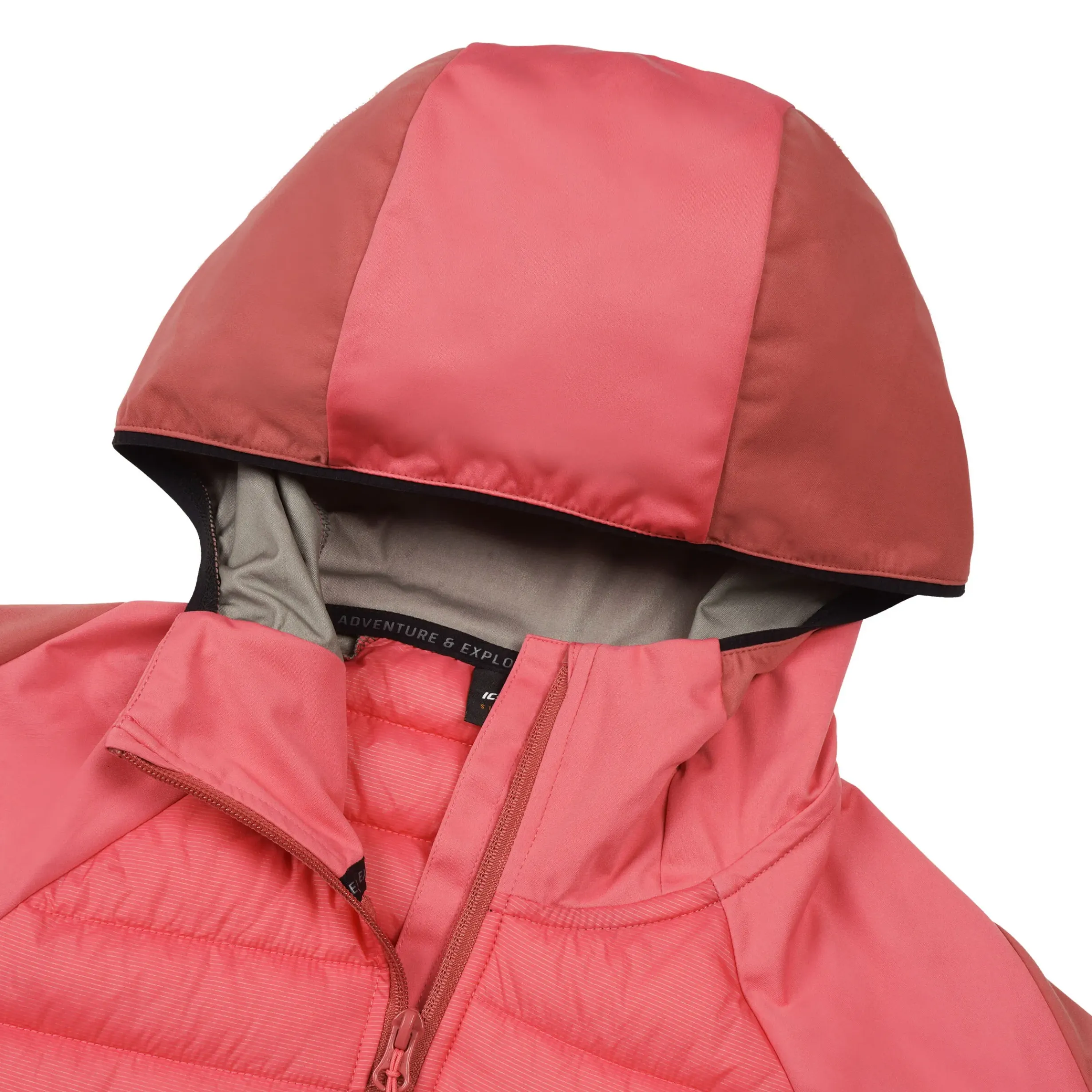 ICEPEAK Delmont