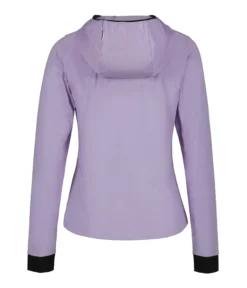 ICEPEAK Dinan
