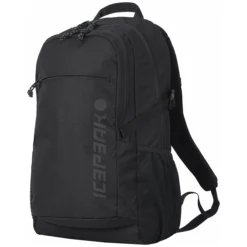 Clearance ICEPEAK Geiger