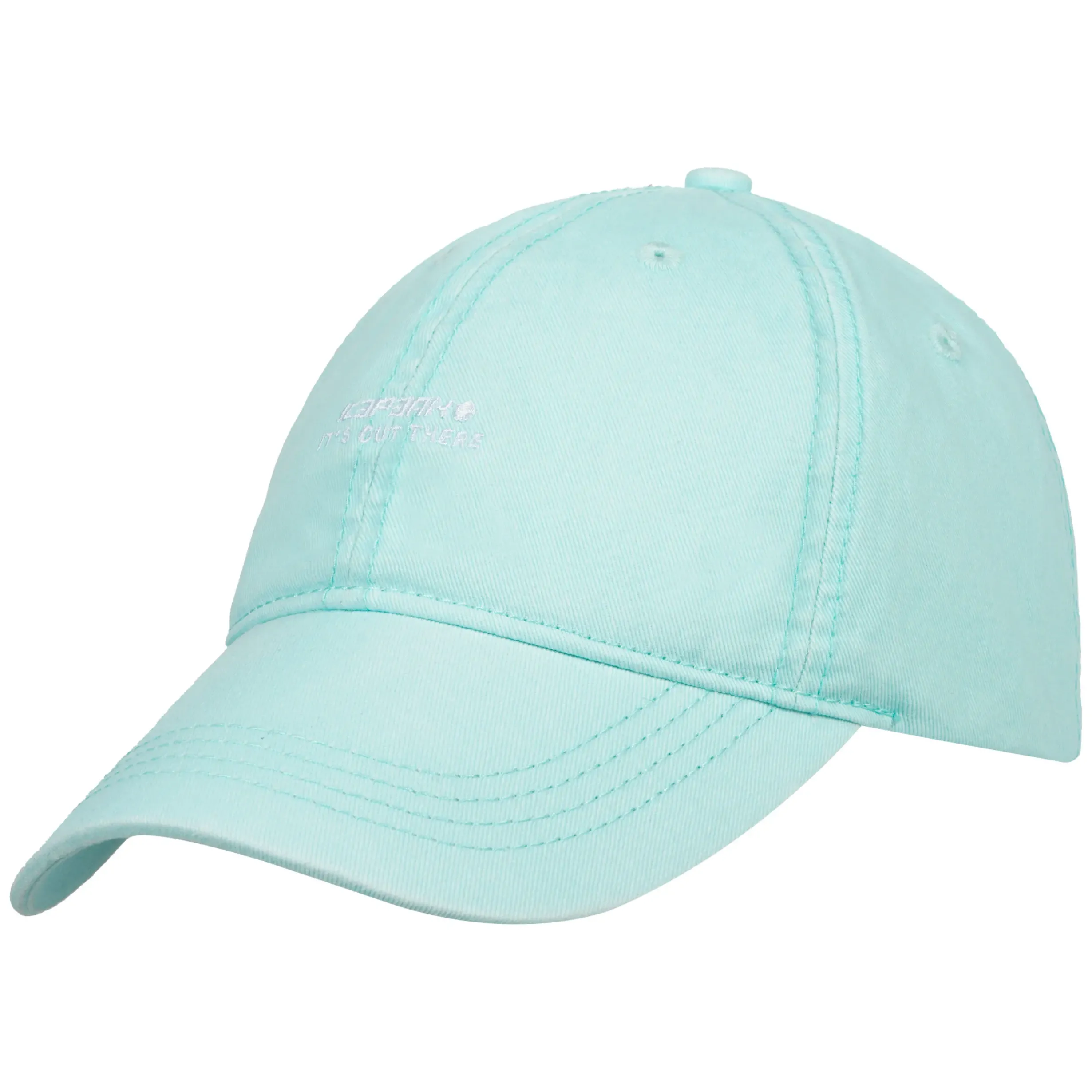 Online ICEPEAK Hadley