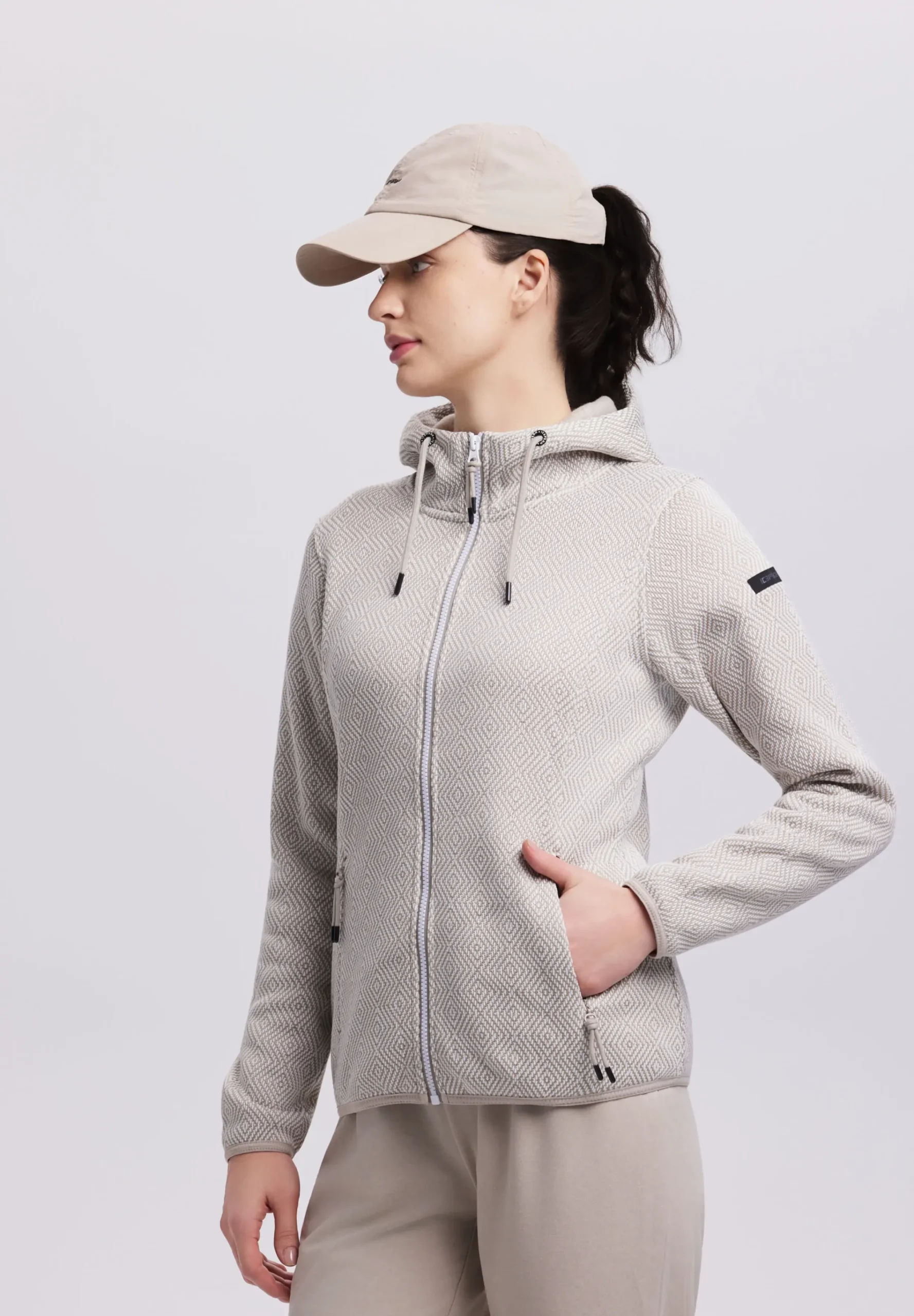 Online ICEPEAK Herrick