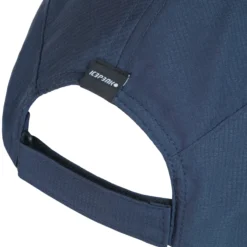 New ICEPEAK Holbrook