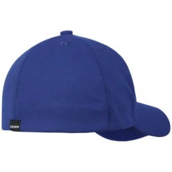 Online ICEPEAK Holdrege