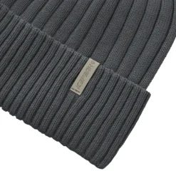 Online ICEPEAK Holton