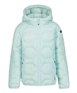 Online ICEPEAK Kamiah Jr