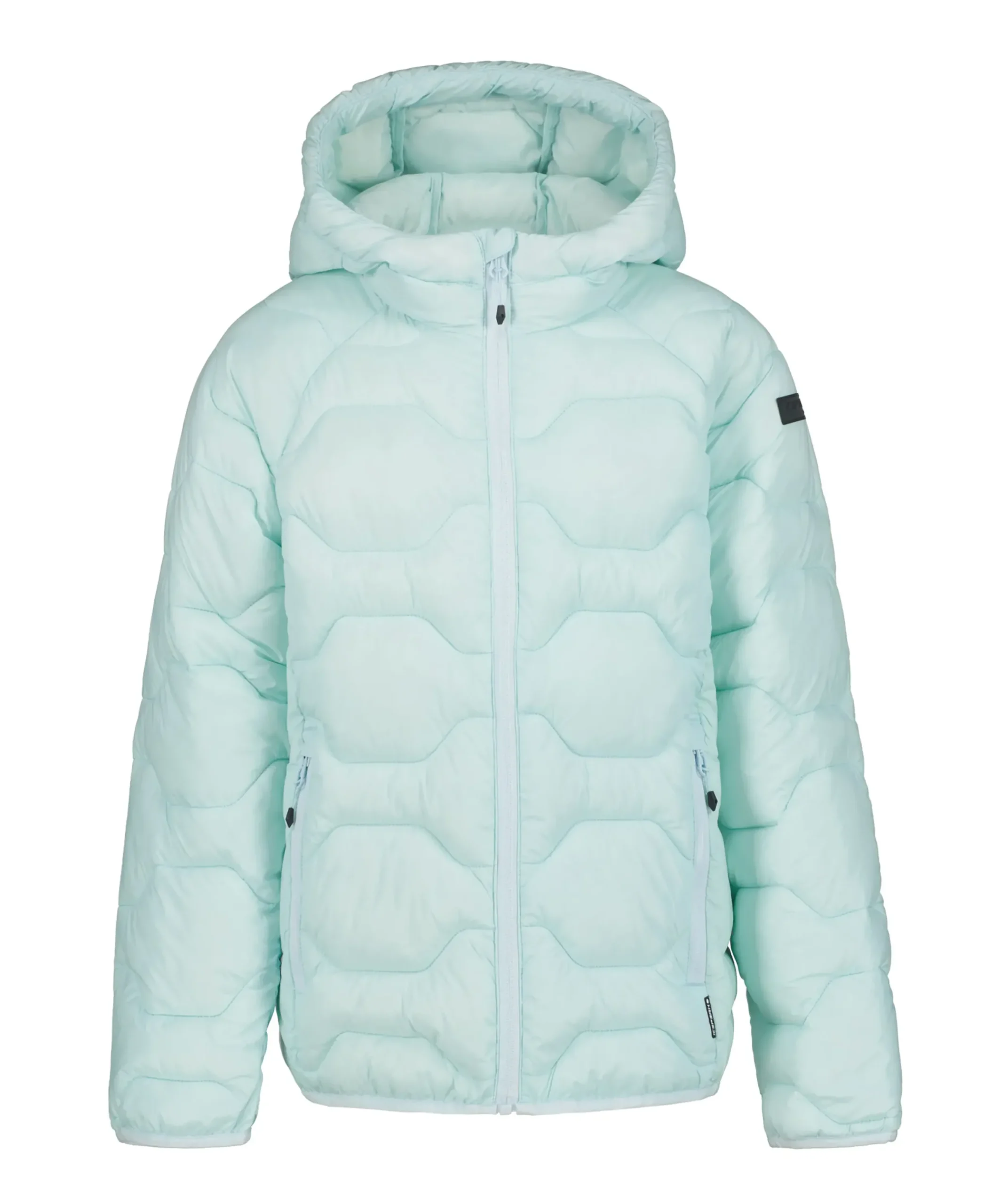 Online ICEPEAK Kamiah Jr