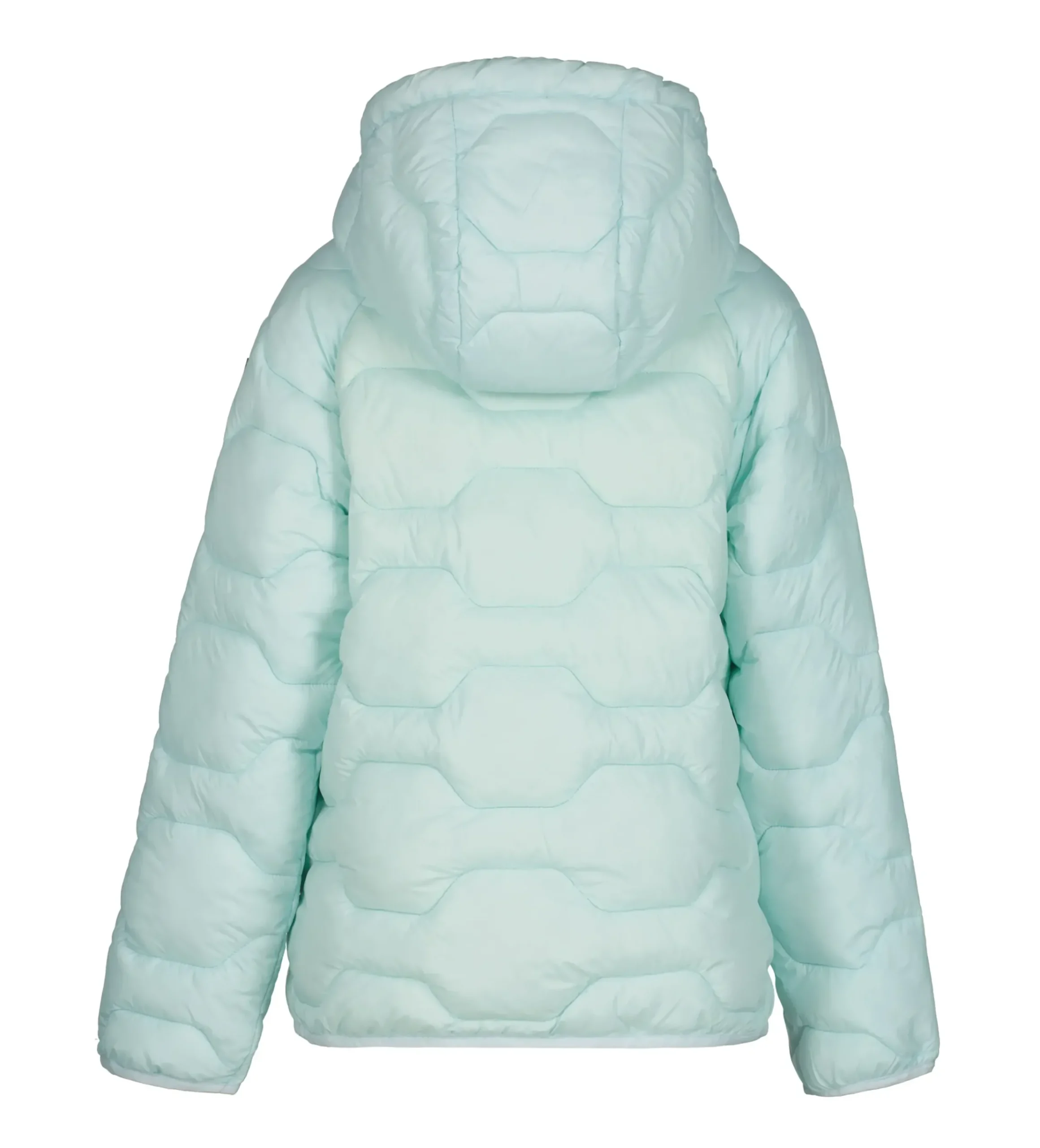 Online ICEPEAK Kamiah Jr