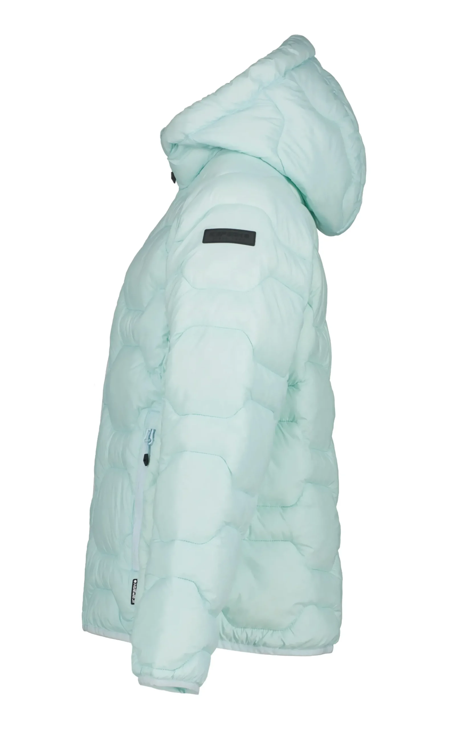 Online ICEPEAK Kamiah Jr